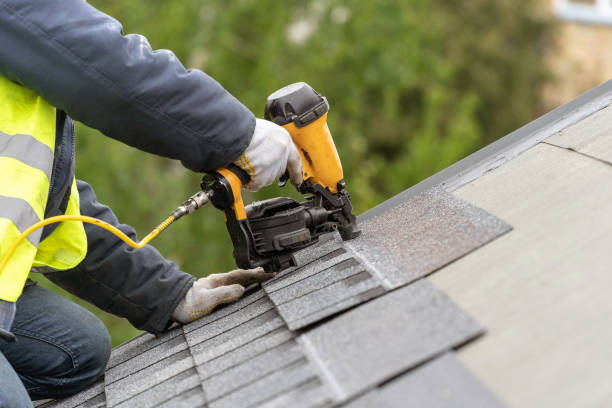 Best Roof Maintenance and Cleaning  in Cheswold, DE